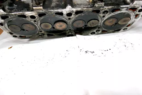 VW Passat 3B A4 B5 Zylinderkopf mit Ventilen 1,9 TDI 81kw 110PS AVG / AFN Motor (101240)