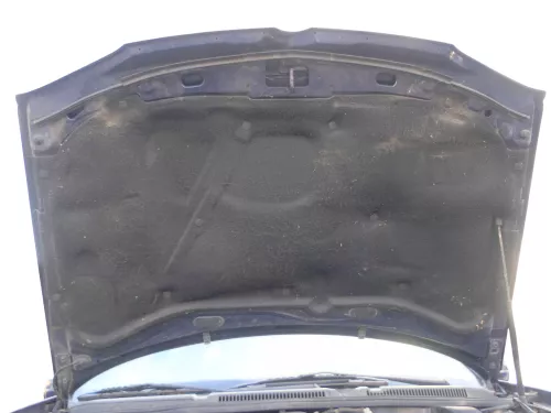 Bora Golf 4 Dämpfung Motorhaube Dämmung Motorhaubendämmung TDI Dämmmatte (103069)