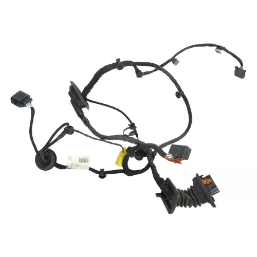 VW Passat 3C Kabelbaum Tür Türkabelbaum ZV vorne links Leitungssatz 3C1971120AT