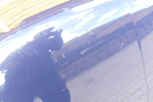 VW Golf 4 Motorhaube Haube Klappe vorne blau LA5G (105325)