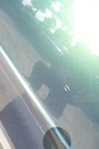 VW Passat 3B 3BG Kombi Variant Tür hinten links grün LC6N - 107796 (107796)