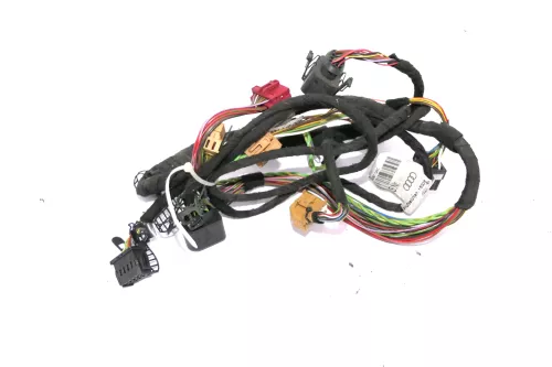 Audi A6 4B Kabelbaum Tür Türkabelbaum ZV vorne links 4B0971029F E