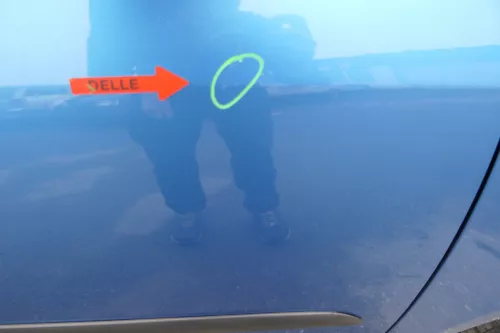 Skoda Roomster 5J Tür vorne rechts Beifahrertür blau LF5S (ohne Anbauteile) (110809)