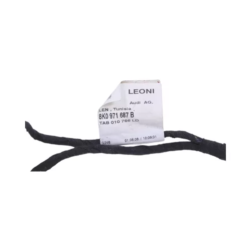 1x Audi A4 8K Kabelbaum Tür Türkabelbaum ZV hinten rechts /links  8K0971687B (114563)