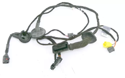 Audi 8K A4 Kabelbaum Tür Türkabelbaum ZV vorne rechts 8K0971030