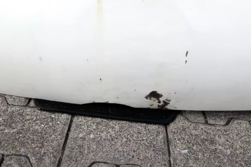 VW T5 Transporter Motorhaube Haube Klappe vorne weiß R902 (115087)