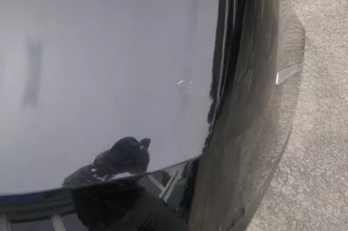 VW Passat 3C Kombi Stoßstange hinten Heckstoßstange Stoßfänger schwarz LC9X 6305 (116305)