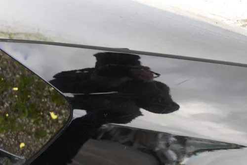 VW Passat 3C Kotflügel vorne links schwarz L041 3C0821021 original - Delle (118142)