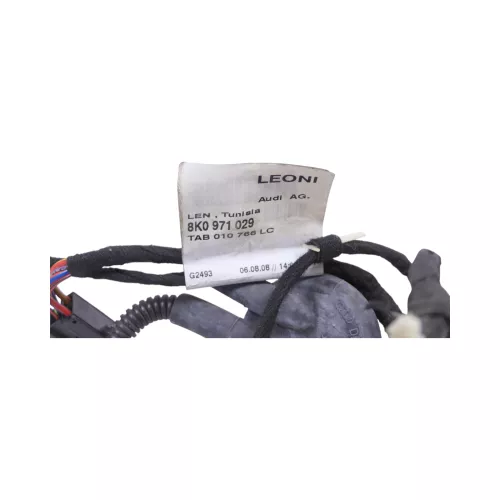 Audi 8K A4 Kabelbaum Tür Türkabelbaum ZV vorne links 8K0971029 (118738)