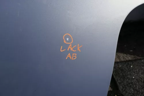 VW Lupo 6X Heckklappe hinten Klappe Kofferraumklappe Scheibe grau blau LR7U 3L (118751)