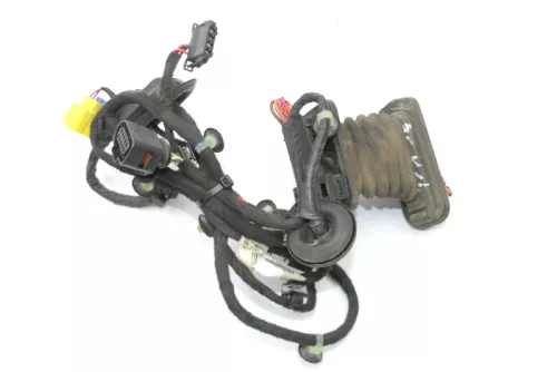 VW Passat 3C Kabelbaum Tür Türkabelbaum ZV vorne links Leitungssatz 3C1971120CK