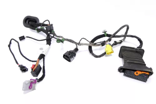 VW Golf Plus Kabelbaum Tür Türkabelbaum ZV vorne rechts 5M1971121K (119539)