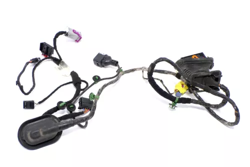 VW Golf Plus Kabelbaum Tür Türkabelbaum ZV vorne rechts 5M1971121K (119539)