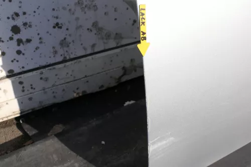 VW New Beetle 1C 9C Tür vorne rechts Beifahrertür silber LA7W - OHNE Anbauteile (123519)