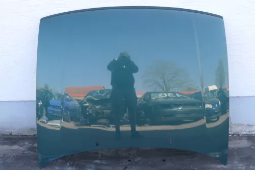 VW Caddy 9K Polo Variant 6Kv Kombi Motorhaube vorne grün LS6T Klappe Haube