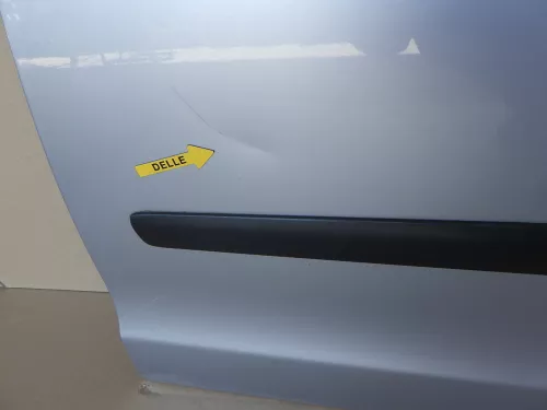 VW Polo 9N 9N3 Tür vorne links Fahrertür silber LA7W 2/3-Türer-ohneAnbauteile (123720)