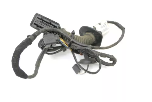 Seat Ibiza 6J 4/5-Türer Kabelbaum Tür Türkabelbaum ZV hinten rechts 6J4971161E (125618)