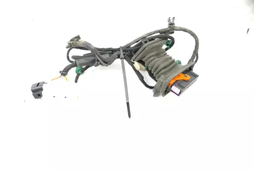 VW Golf 5 4/5-Türer Kabelbaum Tür Türkabelbaum ZV hinten rechts 1K4971694K