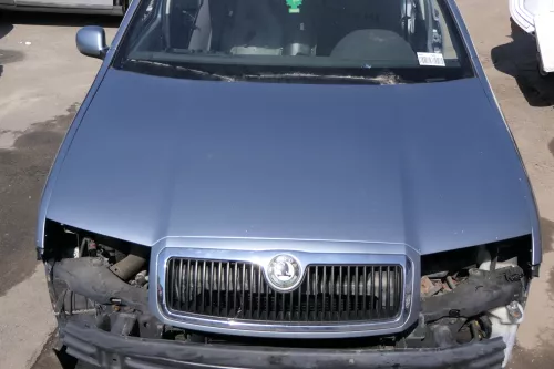 Skoda Fabia 6Y Motorhaube KLappe vorne silber grau LF7U mit Grill
