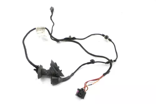 Audi 8E B6 Kabelbaum Tür Türkabelbaum ZV vorne rechts 8E1971029D 8E1971029G