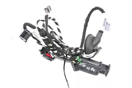 VW Golf 7 5G Kabelbaum Tür Türkabelbaum ZV hinten rechts 5G4971694K