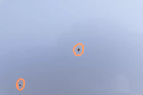 Audi A6 4B C5 Tür Türblatt vorne rechts Beifahrertür silber LY7W (130053)