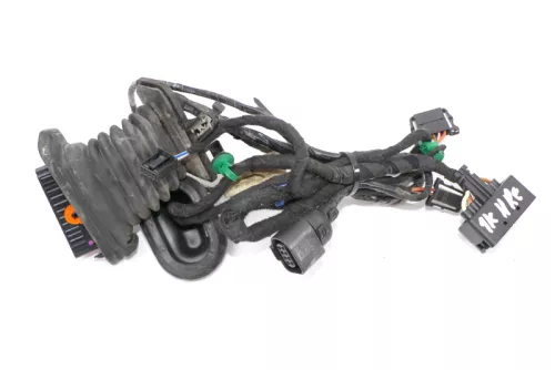 VW Golf 5 4/5-Türer Kabelbaum Tür Türkabelbaum ZV hinten rechts 1K4971694BM