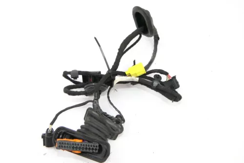 VW Passat 3C Kabelbaum Tür Türkabelbaum ZV vorne rechts Leitungssatz 3C1971121AM