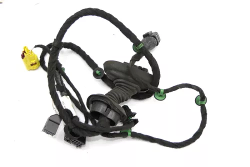 Audi 8E B6 Kabelbaum Tür Türkabelbaum ZV vorne rechts 8E1971029AF