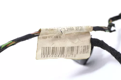 VW Polo 9N3 Kabelbaum Tür Türkabelbaum ZV hinten links Leitungssatz 6Q4970139B (146508)