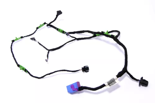 Audi A6 4F Kabelbaum Tür Türkabelbaum ZV vorme links Fahrertür in Türverkleidung (146675)