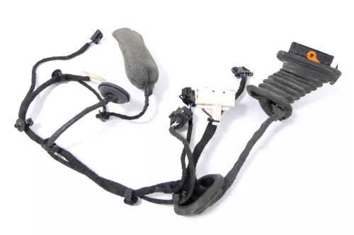 VW Passat 3C Kabelbaum Tür Türkabelbaum ZV hinten rechts 3C4971694EP (148732)