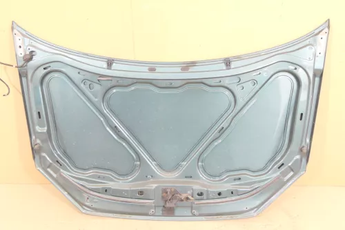 VW Polo 9N3 Cross Motorhaube KLappe vorne LA6L grün   BILDER (149133)