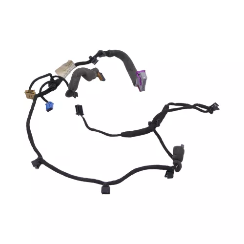 VW Touran 1T Kabelbaum Tür Türkabelbaum ZV vorne links Leitungssatz 1T0971557N (149615)