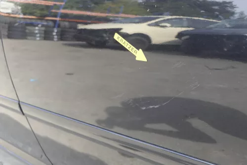 VW Golf 5 V 1K Tür nur das Türblatt hinten links 4/5-Türer schwarz LC9Z (150371)