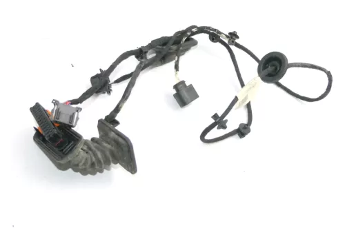 VW Passat 3C Kabelbaum Tür Türkabelbaum ZV hinten rechts 3C4971694GB