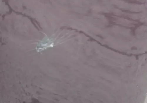 VW Polo 9N 9N3 Stoßstange Heckstoßstange hinten lila LC3W rosewoodred (152741)