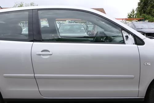 VW Polo 9N 9N3 Tür vorne rechts Beifahrertür 2/3-Türer silber LA7W ohneAnbauteil