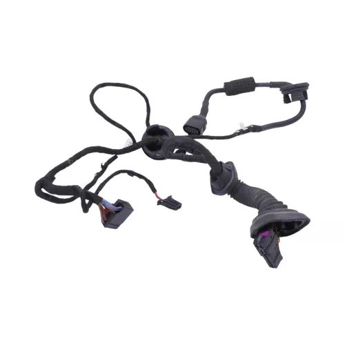 Audi A3 8P 2/3-Türer Kabelbaum Tür Türkabelbaum ZV vorne links 8P3971029L (154997)