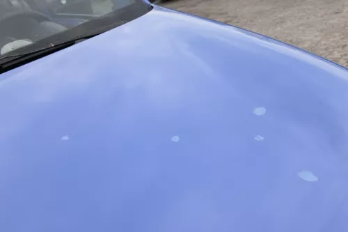 VW Lupo Motorhaube KLappe vorne grau blau LR5A softblau Frontklappe Haube (156881)