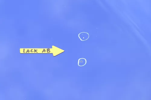 VW Lupo Motorhaube KLappe vorne blau LW5Z jazzblue (156897)