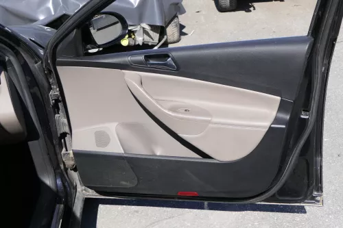 VW Passat 3C Variant 4x Türverkleidung Verkleidung Tür Leder latte macchiato (157089)