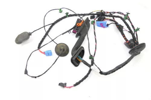 VW Crafter 7C MAN TGE Kabelbaum Tür Türkabelbaum vorne rechts 7C1971121N