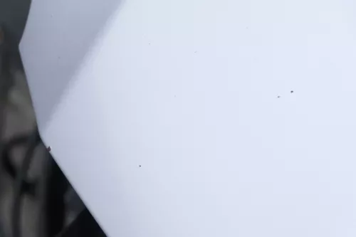 VW Passat 3BG Motorhaube Klappe vorne vorn Haube silber LA7W reflexsilber 157541 (157541)