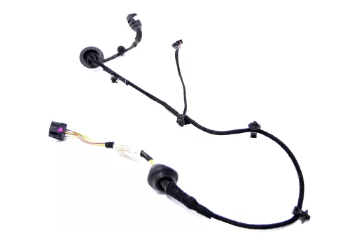 VW Passat 3BG 3B Variant Kabelbaum Tür Türkabelbaum ZV hinten links 3B0971161L K (157560)