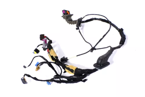 VW Scirocco 3 Kabelbaum Tür Türkabelbaum ZV vorne links Leitungssatz 1K8971120AC (158248)