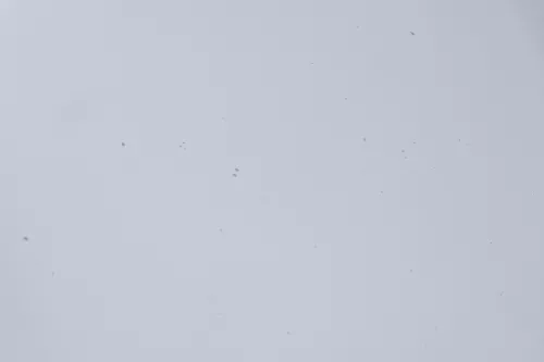 Skoda Fabia 6Y Motorhaube KLappe vorne silber grau LF7T + Grill (158337)