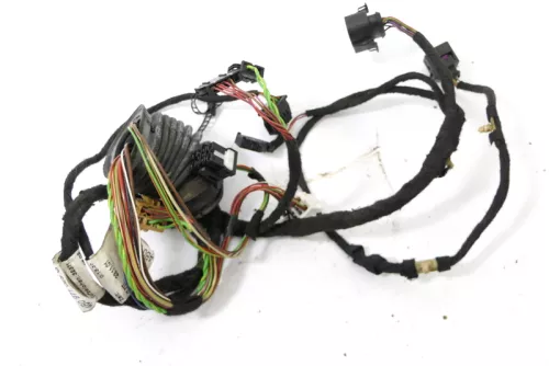 Audi A6 4B Kabelbaum Tür Türkabelbaum ZV vorne rechts 4B0971029H 4B0971029B (158576)