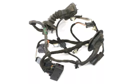 VW Golf 6 Kombi Variant Kabelbaum Tür Türkabelbaum ZV hinten links 1K9971693AD (159007)