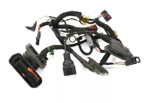 VW Golf 6 Kombi Variant Kabelbaum Tür Türkabelbaum ZV vorne links 1K9971120BE